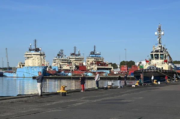 Vissers Die Kade Staan Met Hengels Die Makreel Vissen Fredericia — Stockfoto