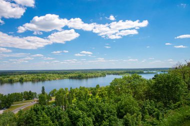 Nehir yeşil ağaçların arasından akar. Yukarıdan görüntüle