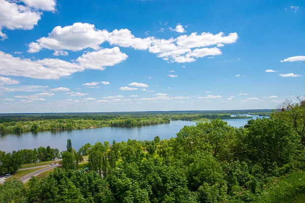Nehir yeşil ağaçların arasından akar. Yukarıdan görüntüle