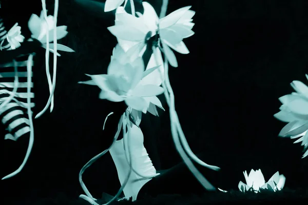 Κορίτσι Λευκό Μαγιό Λευκό Λουλούδι Νέον Φως Μαύρο Φόντο Περίληψη — Φωτογραφία Αρχείου