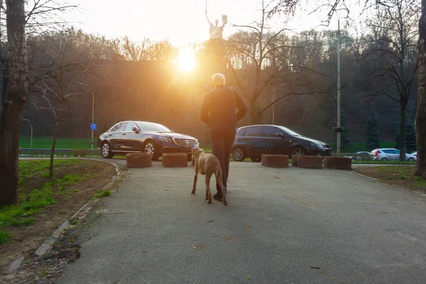 Mężczyzna Spacerze Psem Kijowie Parku — Zdjęcie stockowe