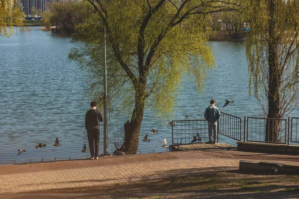 Menschen Einem Park Teichnähe Betrachten Fliegende Tauben — Stockfoto