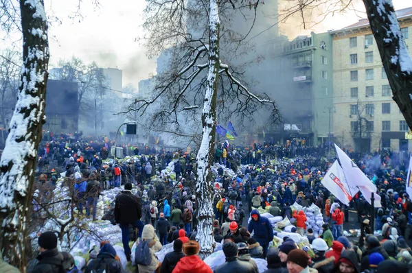 Kijów Ukraina Grudnia 2013 Protesty Głównych Ulicach Kijowa Przeciwko Władzy — Zdjęcie stockowe