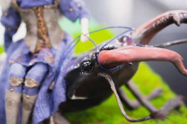 KIEV, Ukrayna - 06 Eylül 2020: Gerçekçilik tekniğinde Yazar 'ın bebeği. Böceğin üstünde oturan kız.