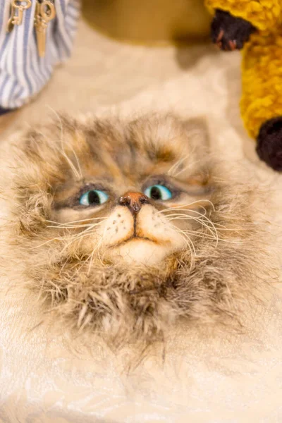 Fluffigt Munstycke Dockkatt Närbild — Stockfoto