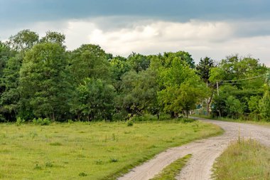 Bir sürü alanında orman arka plan üzerinde uçan kuşlar