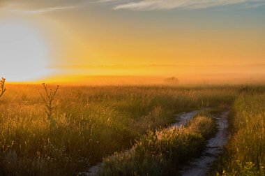 Yeşil büyük alan güzel gün batımı.