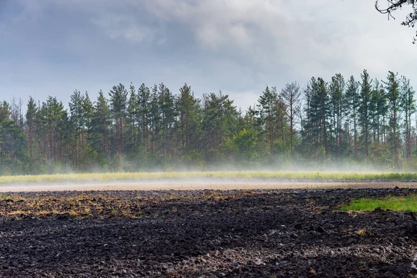 Niebla Matutina Sobre Tierra Bosque Tierras Recién Aradas — Foto de Stock