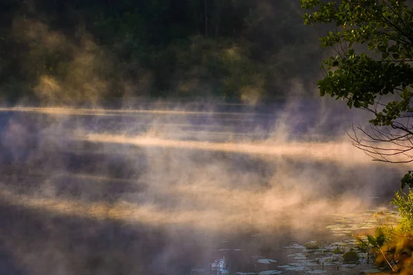 Fog River Dawn — Stock Photo, Image
