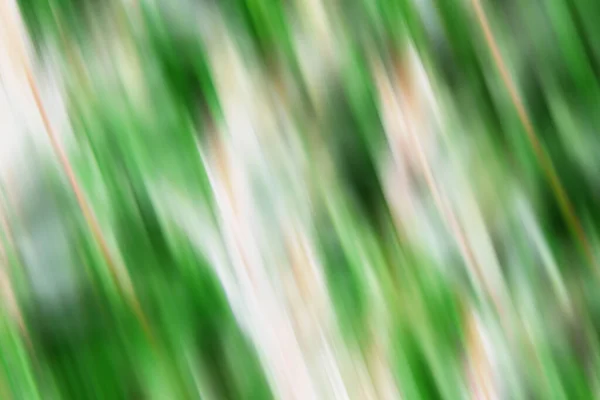 Hareket Halinde Soyut Arkaplan Beyaz Yeşil Renkte Bulanıklaştırıldı — Stok fotoğraf