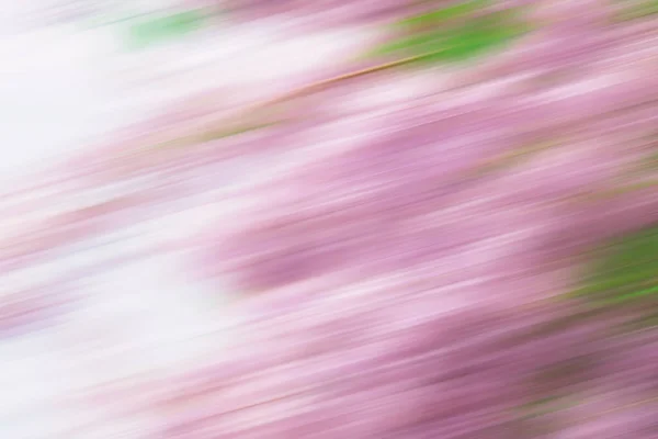 動きによる背景のぼやけた紫色 — ストック写真