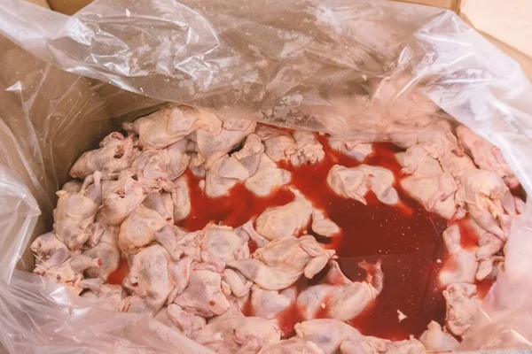 Bangkai Ayam Mentah Dalam Darah — Stok Foto