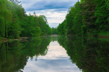 Nehir kıyıları boyunca sık ağaçlarla.