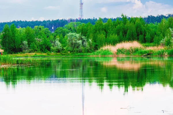 Printemps Arbres Verts Sont Reflétés Dans Lac — Photo