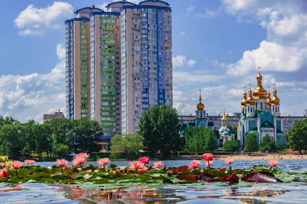 Multicolored Beautiful Lilies Bloom City Pond Kyiv Ukraine — Stock Fotó