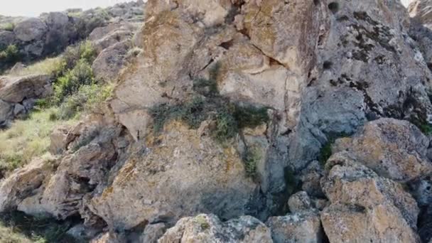 Aerial drone shot of a mountain goat standing on a cliffside — Stock Video