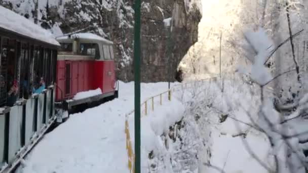 Туристический Узкоколейный Железнодорожный Поезд Зимнем Пейзаже Поезд Проходит Через Снежное — стоковое видео