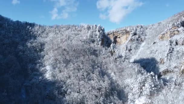 Vackert Snöigt Landskap Med Berg Och Träd Flygutsikt — Stockvideo