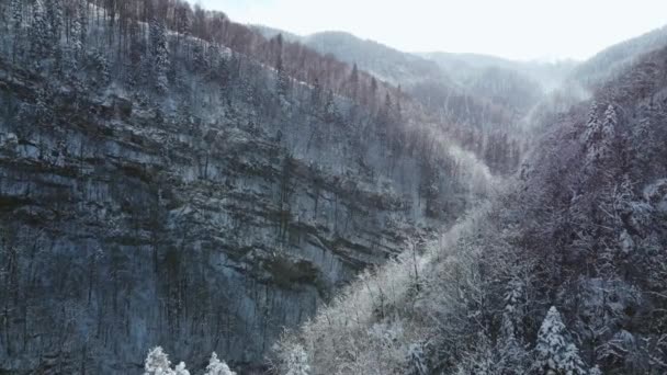 Όμορφη Εναέρια Άποψη Του Χιονισμένο Ορεινό Τοπίο — Αρχείο Βίντεο