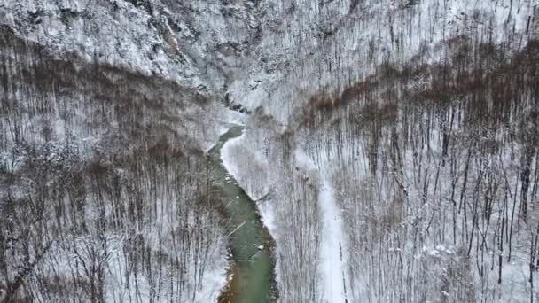 Flygbilder Vacker Flod Med Snöigt Landskap — Stockvideo