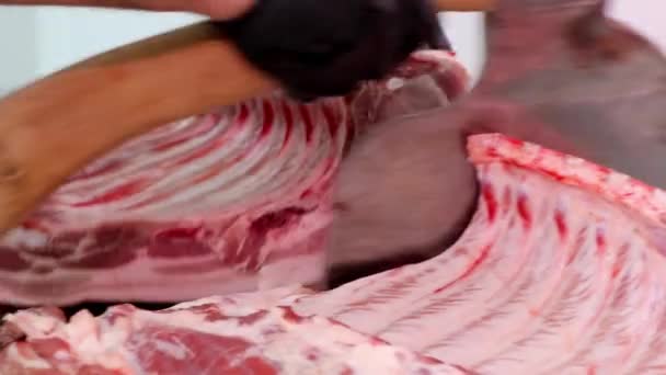 Primo Piano Delle Mani Dei Macellai Costolette Carne Maiale Cruda — Video Stock