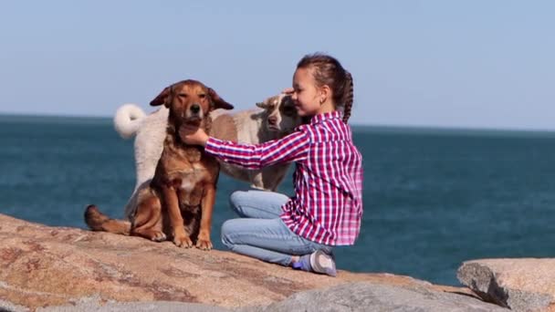 Добрый Девочка Сидит Набережной Гладит Двух Бродячих Собак Видео — стоковое видео