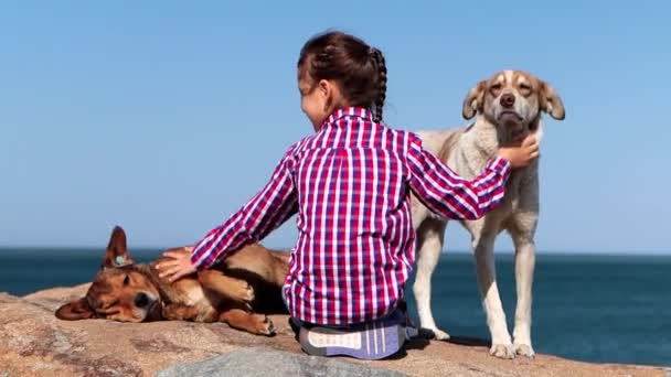 Niño Sienta Playa Con Tres Perros Mestizos Chica Acaricia Acaricia — Vídeos de Stock