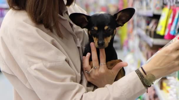 スーパーマーケットのペット部門で犬料理を選びながら若い女性が手に小さな犬を持っています 4K映像 — ストック動画