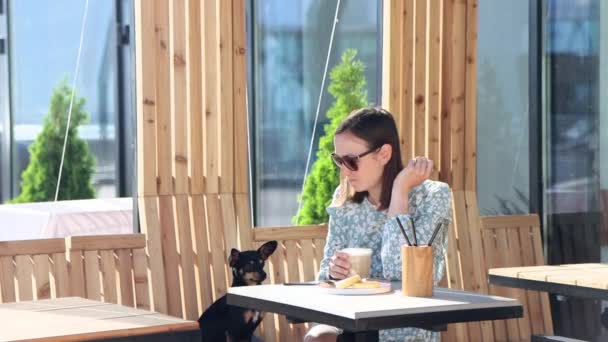 Mujer Joven Sienta Cafetería Calle Con Perrito Desayuna Chica Trata — Vídeo de stock