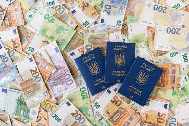 Ukrayna pasaportu ve banknotları. Kimlik kartı.