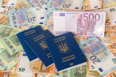 Ukrayna pasaportu ve banknotları. Kimlik kartı.