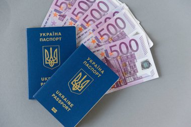 Ukrayna pasaportu ve banknotları. Kimlik kartı.
