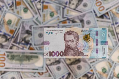 Dolar, Avro ve Hryvnia banknotları