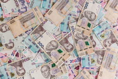 Dolar, Avro ve Hryvnia banknotları