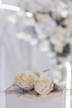 Beyaz düğün pastası Resepsiyon