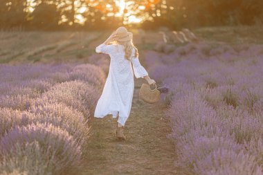 Lavanta çiçekleri alan batımında mor elbiseli kadın. Fransa, Provence.