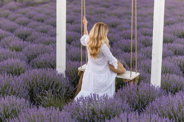 Woman Lavender Flowers Field Sunset Purple Dress France Provence — Stock Photo, Image