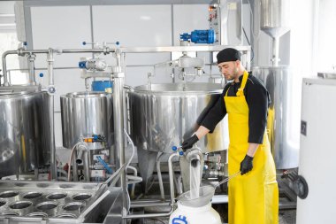 Ev yapımı peynir üreticisi, sabahları inek koyunlarından taze süt ile el yapımı mozzarella üretiyor. Gelenek kavramı: İtalya, mozzarella.