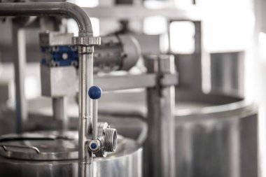 Ev yapımı peynir üreticisi, sabahları inek koyunlarından taze süt ile el yapımı mozzarella üretiyor. Gelenek kavramı: İtalya, mozzarella.