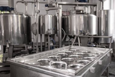 Ev yapımı peynir üreticisi, sabahları inek koyunlarından taze süt ile el yapımı mozzarella üretiyor. Gelenek kavramı: İtalya, mozzarella.