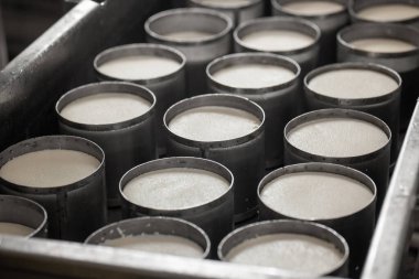 Ev yapımı peynir üreticisi, sabahları inek koyunlarından taze süt ile el yapımı mozzarella üretiyor. Gelenek kavramı: İtalya, mozzarella.