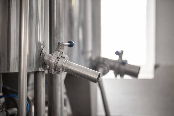 A homemade cheese producer, produces handmade mozzarella with fresh quality milk from her cows sheep in the morning. Concept of: tradition, italy, mozzarella.