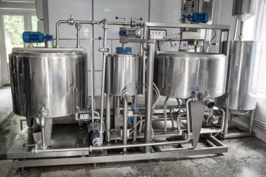 Ev yapımı peynir üreticisi, sabahları inek koyunlarından taze süt ile el yapımı mozzarella üretiyor. Gelenek kavramı: İtalya, mozzarella.
