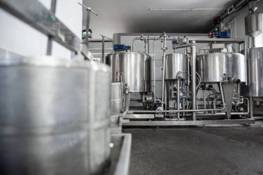 Ev yapımı peynir üreticisi, sabahları inek koyunlarından taze süt ile el yapımı mozzarella üretiyor. Gelenek kavramı: İtalya, mozzarella.