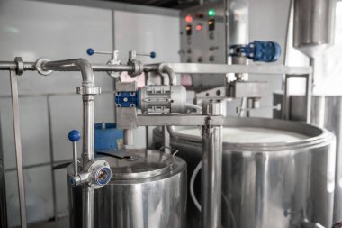 Ev yapımı peynir üreticisi, sabahları inek koyunlarından taze süt ile el yapımı mozzarella üretiyor. Gelenek kavramı: İtalya, mozzarella.