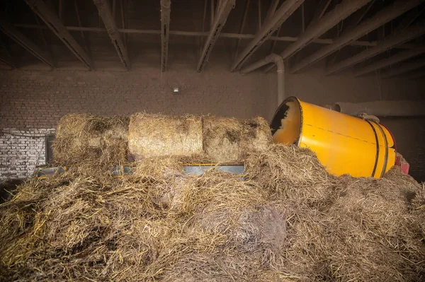Processing Hay Biomass Farm — Stock Photo, Image