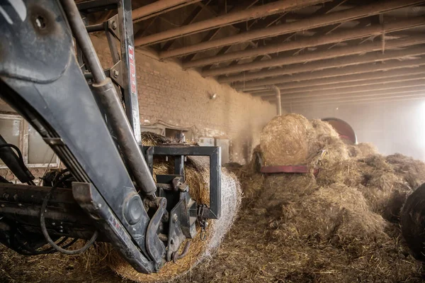 Processing Hay Biomass Farm — Φωτογραφία Αρχείου