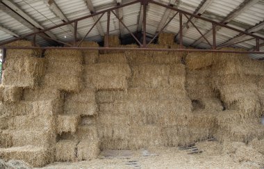 Günbatımında saman balyaları