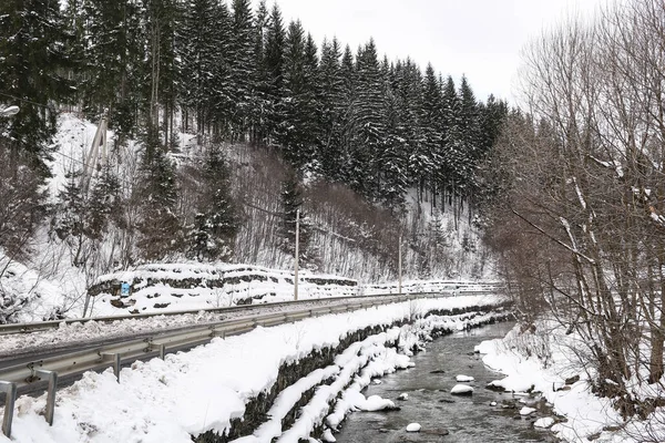 Güzel kış manzarası ladin karı güneşli havayı kapladı