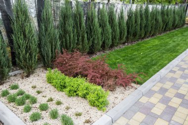 Çimen desenli taş kaldırım. Çamurlu kaldırım arka planının en üst görüntüsü. Eski kaldırım taşları sokağının soyut arkaplanı